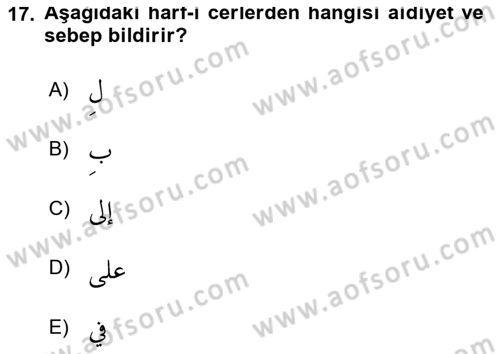 Arapça 1 Dersi 2021 - 2022 Yılı (Vize) Ara Sınav Soruları 17. Soru