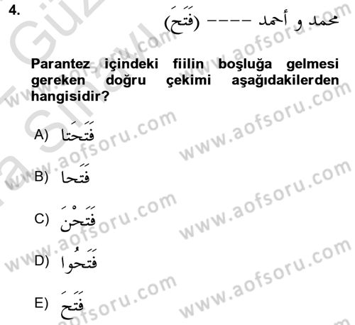 Arapça 1 Dersi Ara Sınavı Deneme Sınav Soruları 4. Soru