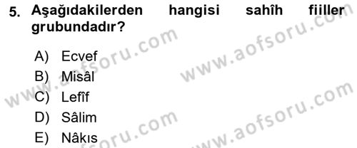 Arapça 1 Dersi 2021 - 2022 Yılı (Vize) Ara Sınav Soruları 5. Soru