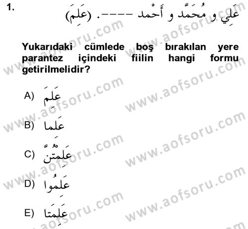Arapça 1 Dersi 2021 - 2022 Yılı (Final) Dönem Sonu Sınav Soruları 1. Soru
