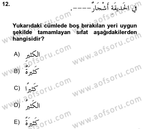 Arapça 1 Dersi 2021 - 2022 Yılı (Final) Dönem Sonu Sınav Soruları 12. Soru