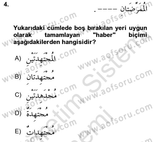 Arapça 1 Dersi 2021 - 2022 Yılı (Final) Dönem Sonu Sınav Soruları 4. Soru