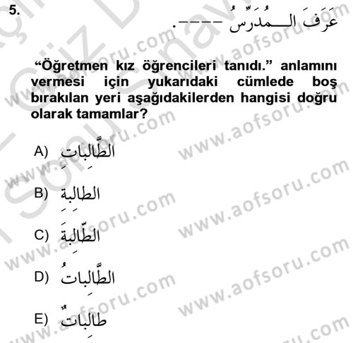 Arapça 1 Dersi 2021 - 2022 Yılı (Final) Dönem Sonu Sınav Soruları 5. Soru