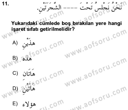 Arapça 1 Dersi 2021 - 2022 Yılı Yaz Okulu Sınav Soruları 11. Soru
