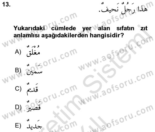 Arapça 1 Dersi 2021 - 2022 Yılı Yaz Okulu Sınav Soruları 13. Soru