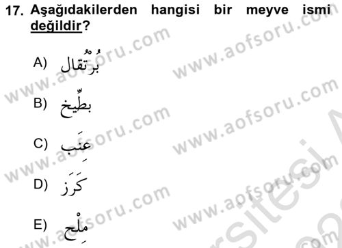 Arapça 1 Dersi 2021 - 2022 Yılı Yaz Okulu Sınav Soruları 17. Soru