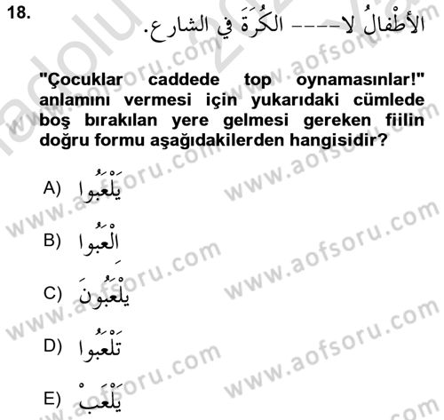 Arapça 1 Dersi 2021 - 2022 Yılı Yaz Okulu Sınavı 18. Soru