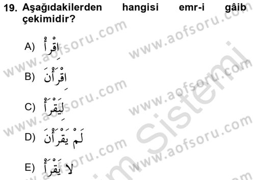 Arapça 1 Dersi 2021 - 2022 Yılı Yaz Okulu Sınav Soruları 19. Soru