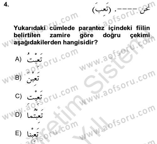 Arapça 1 Dersi 2021 - 2022 Yılı Yaz Okulu Sınav Soruları 4. Soru
