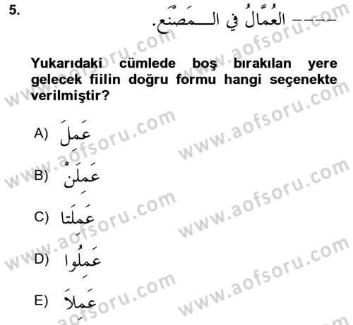 Arapça 1 Dersi 2021 - 2022 Yılı Yaz Okulu Sınav Soruları 5. Soru