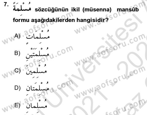 Arapça 1 Dersi 2021 - 2022 Yılı Yaz Okulu Sınav Soruları 7. Soru