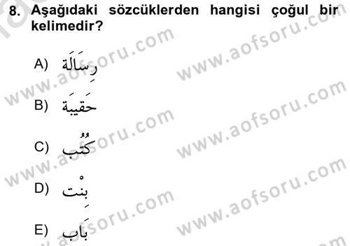 Arapça 1 Dersi 2021 - 2022 Yılı Yaz Okulu Sınav Soruları 8. Soru