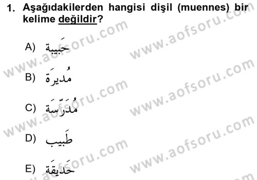 Arapça 1 Dersi 2022 - 2023 Yılı (Vize) Ara Sınav Soruları 1. Soru
