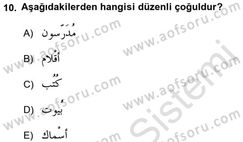 Arapça 1 Dersi Ara Sınavı Deneme Sınav Soruları 10. Soru