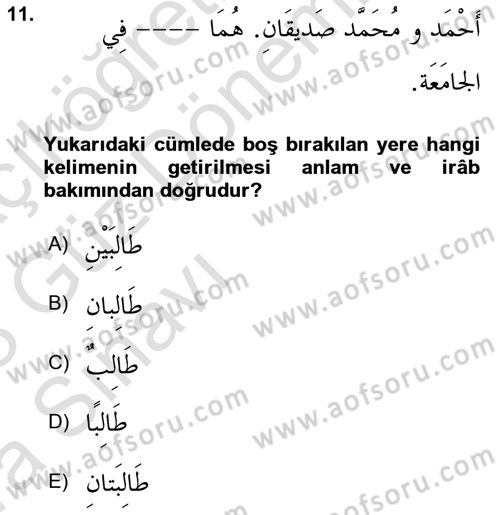 Arapça 1 Dersi 2022 - 2023 Yılı (Vize) Ara Sınav Soruları 11. Soru
