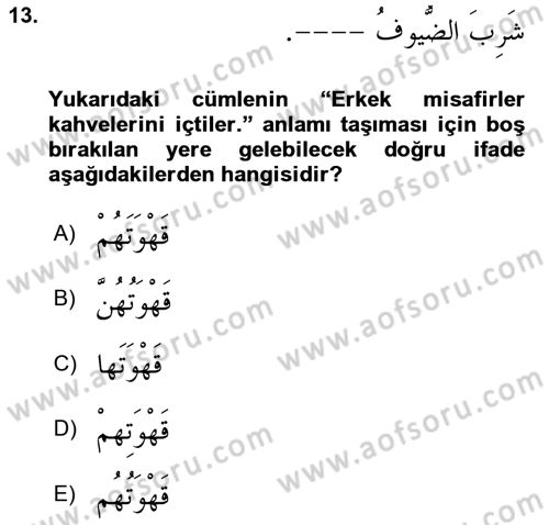 Arapça 1 Dersi Ara Sınavı Deneme Sınav Soruları 13. Soru