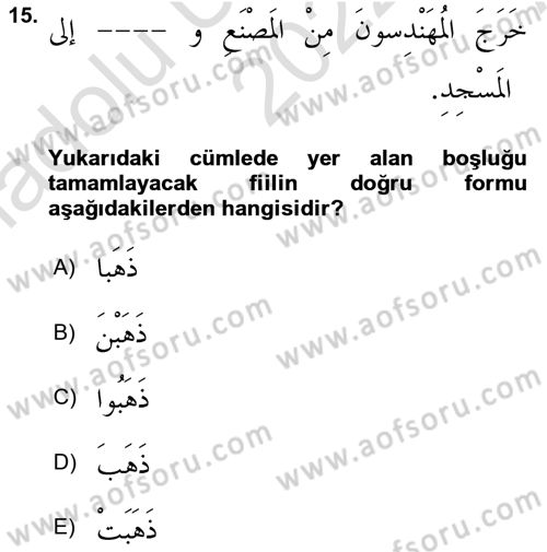 Arapça 1 Dersi Ara Sınavı Deneme Sınav Soruları 15. Soru