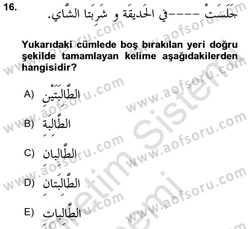 Arapça 1 Dersi 2022 - 2023 Yılı (Vize) Ara Sınav Soruları 16. Soru
