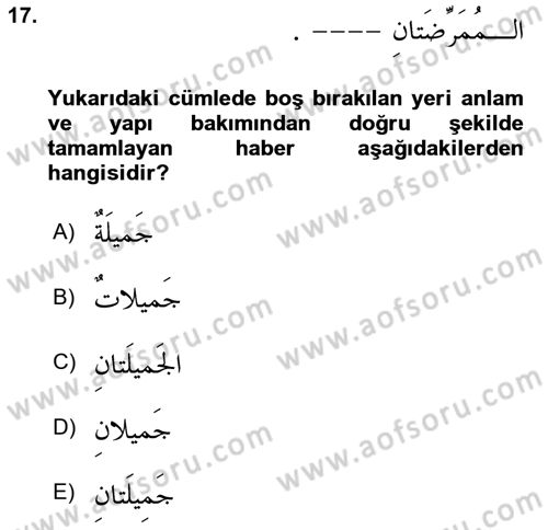 Arapça 1 Dersi Ara Sınavı Deneme Sınav Soruları 17. Soru