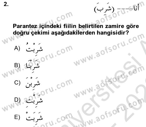 Arapça 1 Dersi Ara Sınavı Deneme Sınav Soruları 2. Soru
