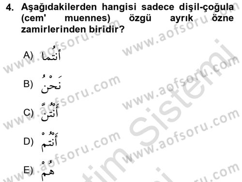 Arapça 1 Dersi Ara Sınavı Deneme Sınav Soruları 4. Soru