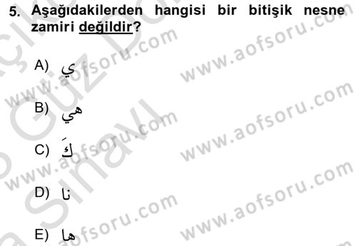 Arapça 1 Dersi Ara Sınavı Deneme Sınav Soruları 5. Soru