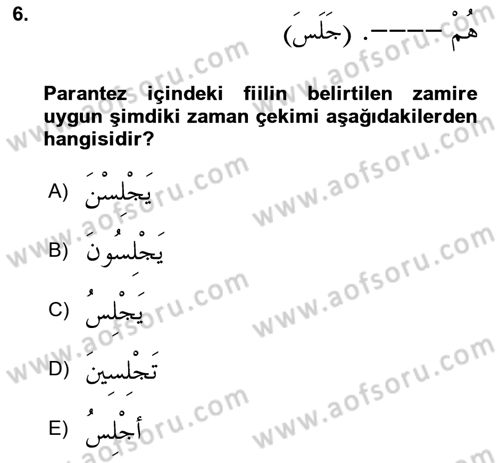 Arapça 1 Dersi Ara Sınavı Deneme Sınav Soruları 6. Soru