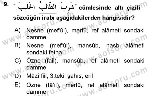 Arapça 1 Dersi 2022 - 2023 Yılı (Vize) Ara Sınav Soruları 9. Soru
