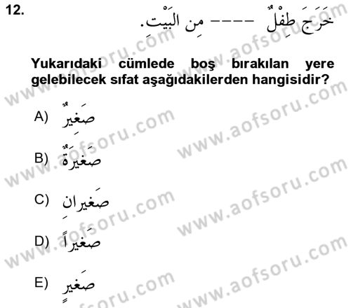 Arapça 1 Dersi 2022 - 2023 Yılı (Final) Dönem Sonu Sınav Soruları 12. Soru