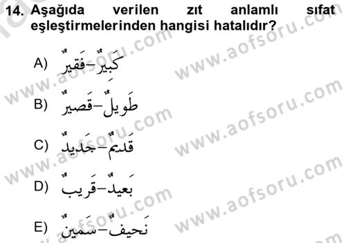 Arapça 1 Dersi 2022 - 2023 Yılı (Final) Dönem Sonu Sınav Soruları 14. Soru