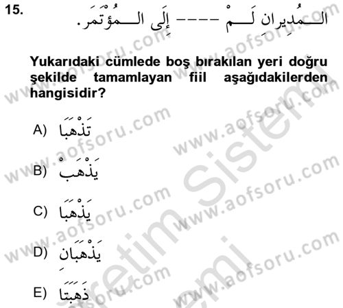 Arapça 1 Dersi 2022 - 2023 Yılı (Final) Dönem Sonu Sınav Soruları 15. Soru