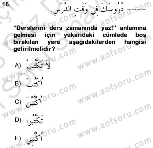 Arapça 1 Dersi 2022 - 2023 Yılı (Final) Dönem Sonu Sınav Soruları 16. Soru