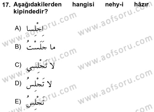 Arapça 1 Dersi 2022 - 2023 Yılı (Final) Dönem Sonu Sınav Soruları 17. Soru