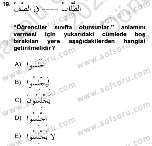 Arapça 1 Dersi 2022 - 2023 Yılı (Final) Dönem Sonu Sınav Soruları 19. Soru