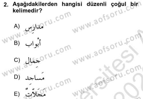 Arapça 1 Dersi 2022 - 2023 Yılı (Final) Dönem Sonu Sınav Soruları 2. Soru