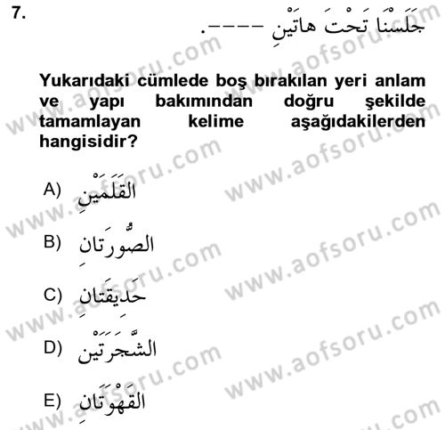 Arapça 1 Dersi 2022 - 2023 Yılı (Final) Dönem Sonu Sınav Soruları 7. Soru