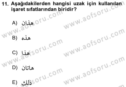 Arapça 1 Dersi 2022 - 2023 Yılı Yaz Okulu Sınav Soruları 11. Soru