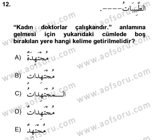 Arapça 1 Dersi 2022 - 2023 Yılı Yaz Okulu Sınav Soruları 12. Soru
