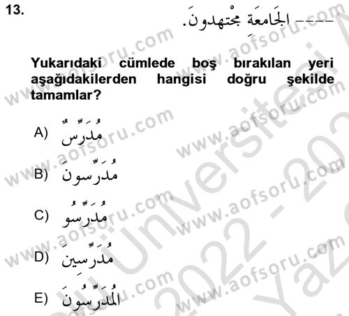 Arapça 1 Dersi 2022 - 2023 Yılı Yaz Okulu Sınav Soruları 13. Soru