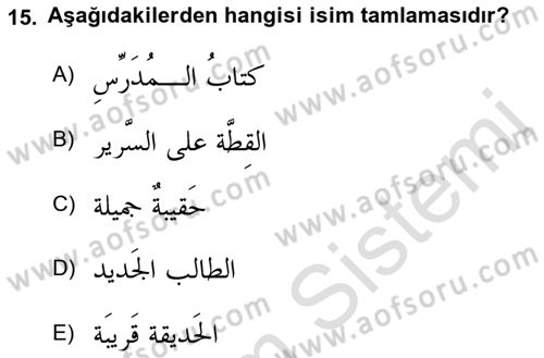 Arapça 1 Dersi 2022 - 2023 Yılı Yaz Okulu Sınav Soruları 15. Soru