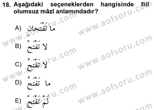 Arapça 1 Dersi 2022 - 2023 Yılı Yaz Okulu Sınav Soruları 18. Soru