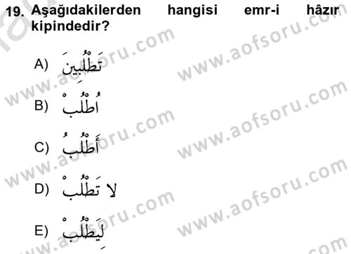 Arapça 1 Dersi 2022 - 2023 Yılı Yaz Okulu Sınav Soruları 19. Soru