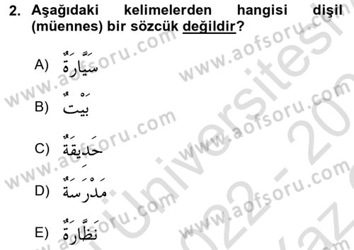 Arapça 1 Dersi 2022 - 2023 Yılı Yaz Okulu Sınav Soruları 2. Soru