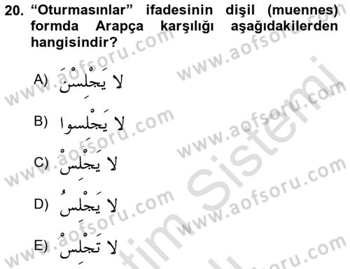 Arapça 1 Dersi 2022 - 2023 Yılı Yaz Okulu Sınav Soruları 20. Soru