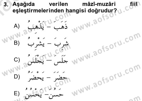 Arapça 1 Dersi 2022 - 2023 Yılı Yaz Okulu Sınav Soruları 3. Soru