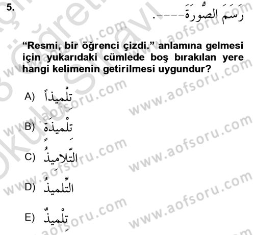 Arapça 1 Dersi 2022 - 2023 Yılı Yaz Okulu Sınav Soruları 5. Soru