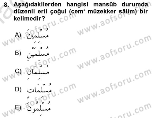Arapça 1 Dersi 2022 - 2023 Yılı Yaz Okulu Sınav Soruları 8. Soru