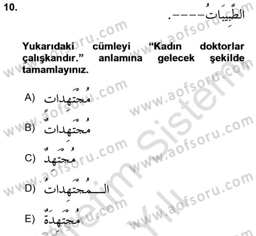 Arapça 1 Dersi 2023 - 2024 Yılı Yaz Okulu Sınav Soruları 10. Soru