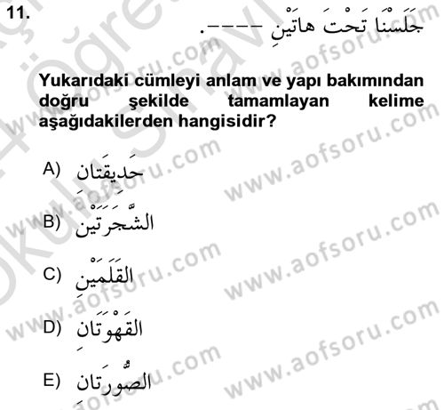 Arapça 1 Dersi 2023 - 2024 Yılı Yaz Okulu Sınav Soruları 11. Soru