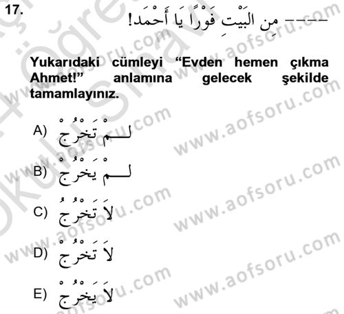 Arapça 1 Dersi 2023 - 2024 Yılı Yaz Okulu Sınav Soruları 17. Soru
